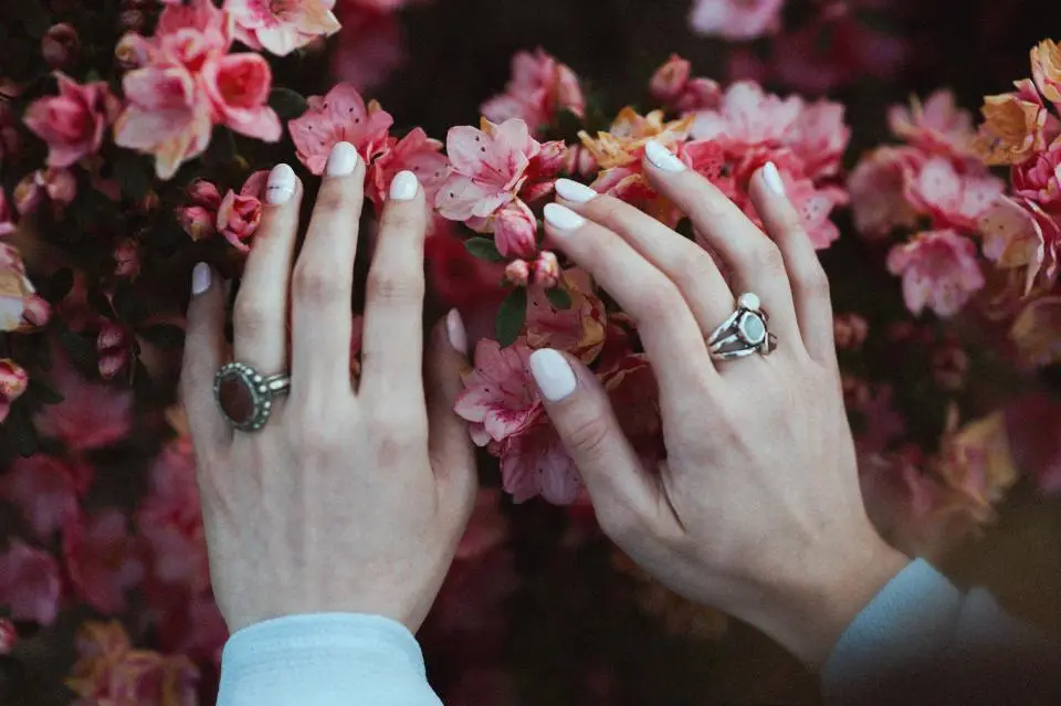 Flores